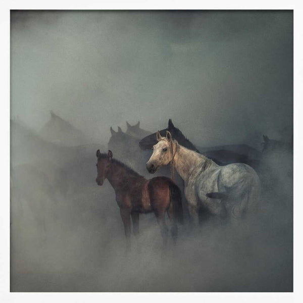 Tablou înramat „The lost horses” de Hüseyin Taşkın