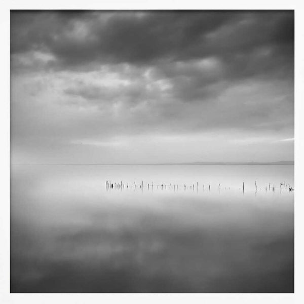 Tablou înramat „Sixty shades of gray” de George Digalakis