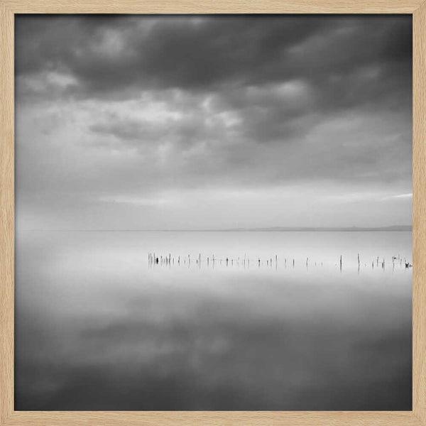 Tablou înramat „Sixty shades of gray” de George Digalakis