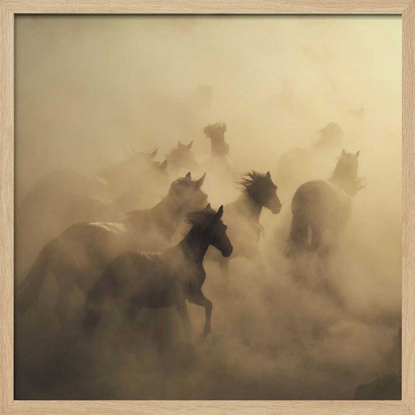 Tablou înramat „migration of horses” de Hüseyin Taşkın