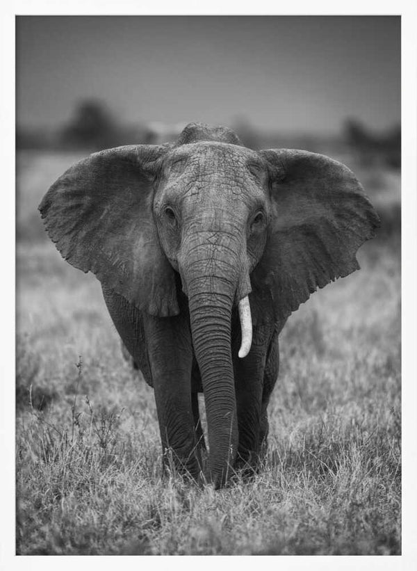 Tablou înramat „SINGULARITY” de Jaco Marx