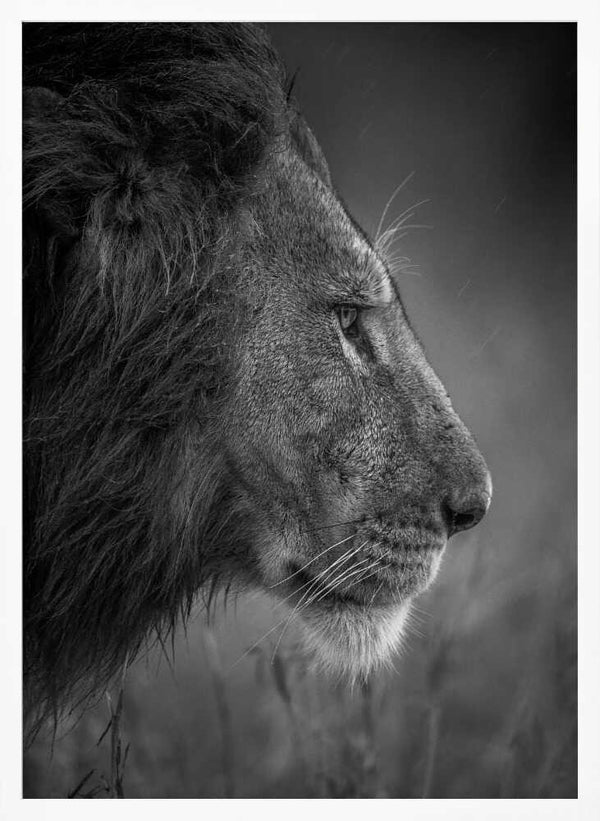 Tablou înramat „Thinking Under The Rain” de Faisal ALnomas