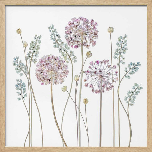 Tablou înramat „Allium” de Mandy Disher