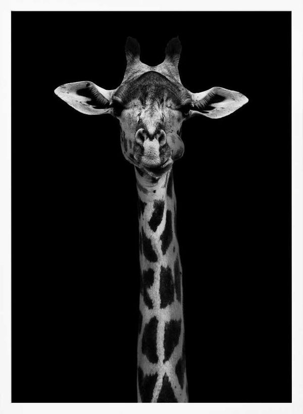 Tablou înramat „Giraffe Portrait” de WildPhotoArt