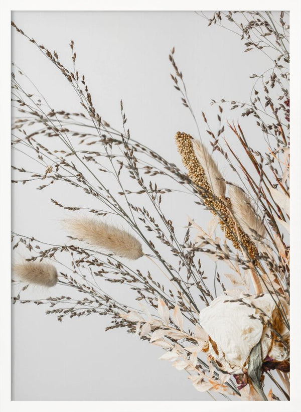 Tablou înramat „Dried_008” de Pictufy Studio III