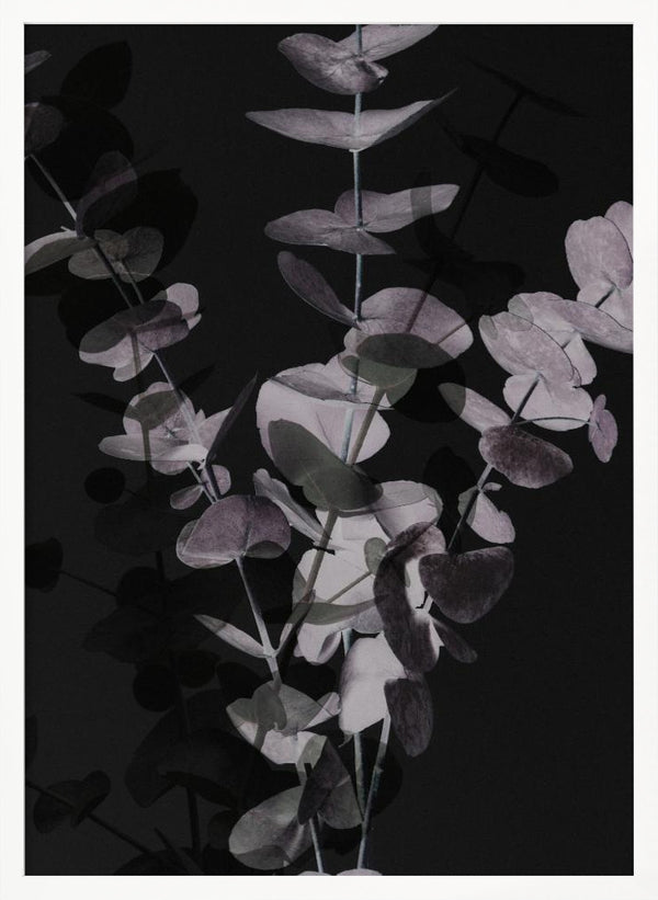 Tablou înramat „Eucalyptus_Negative_001” de Pictufy Studio III