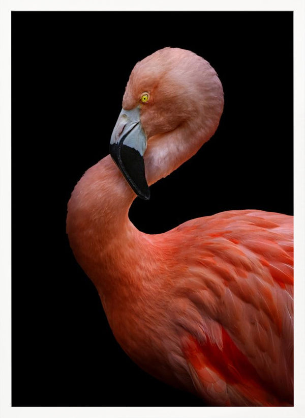 Tablou înramat „Untitled” de Hardik Pandya