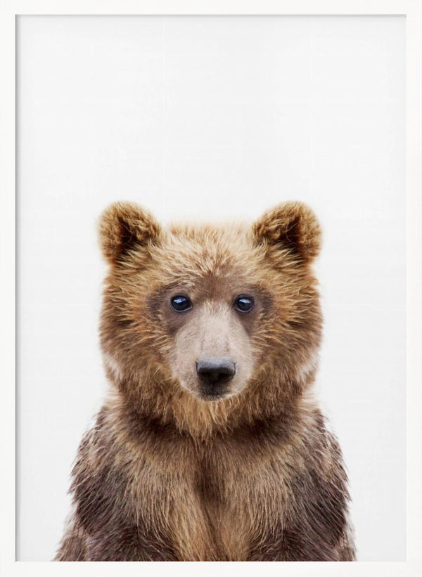 Tablou înramat „Baby Bear” de Kathrin Pienaar