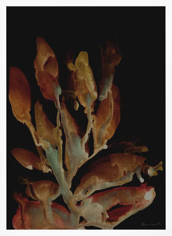 Tablou înramat „Night Plant” de Dan Hobday