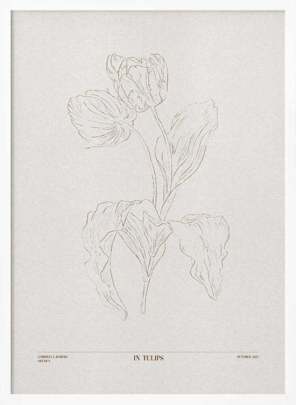 Tablou înramat „In Tulips (brown)” de Gabriella Roberg