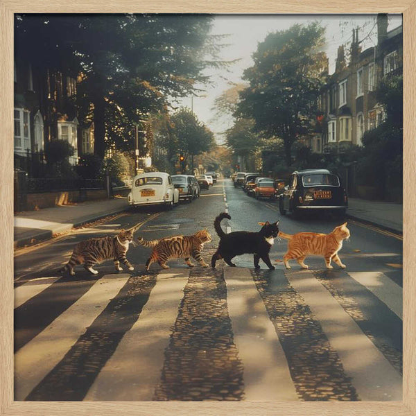 Tablou înramat „Kitty Abbey Road” de Dikhotomy