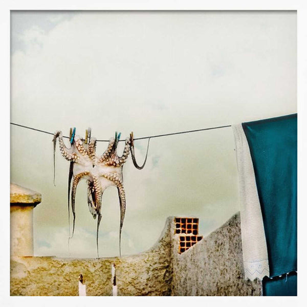 Tablou înramat „Tote Hose” de ambra