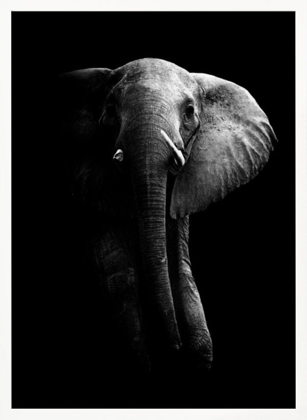 Tablou înramat „Elephant!” de WildPhotoArt