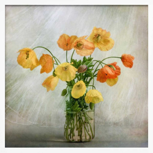 Tablou înramat „In the window” de Mandy Disher