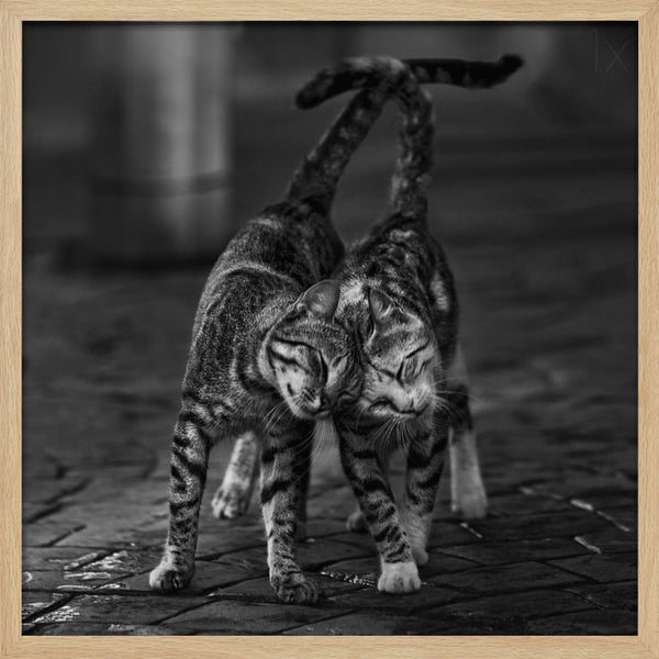 Tablou înramat „Untitled” de nebula