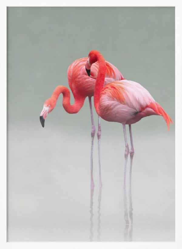 Tablou înramat „just we two ...” de Anna Cseresnjes