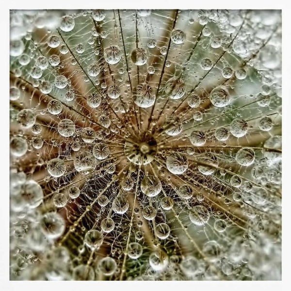 Tablou înramat „Dreаm” de Tanya Markova