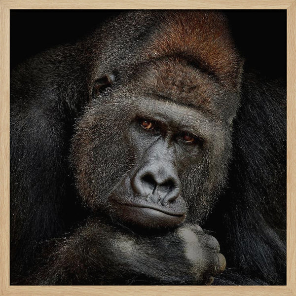 Tablou înramat „ONE MOMENT IN CONTACT” de Antje Wenner-Braun