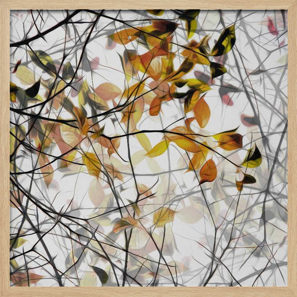 Tablou înramat „autumn song” de Gilbert Claes