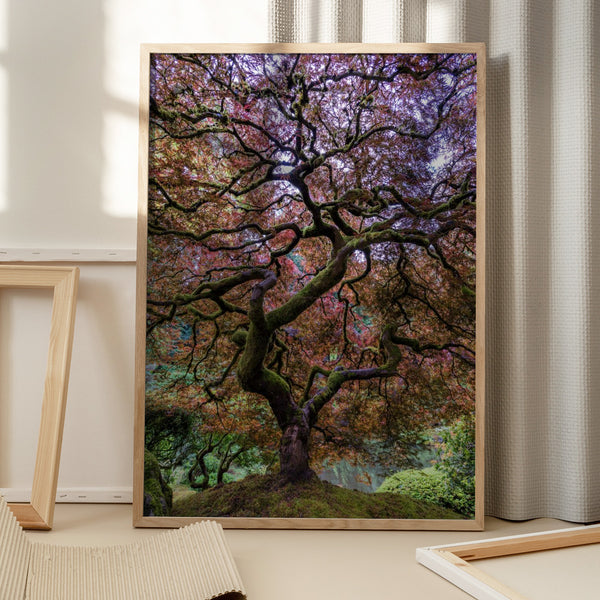 Tablou înramat „Japanese Maple Tree” de Mike Centioli