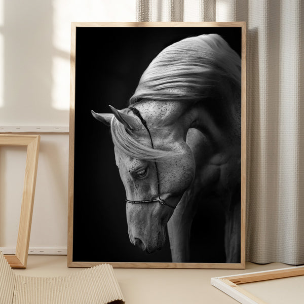 Tablou înramat „white stallion” de Ulrike Leinemann