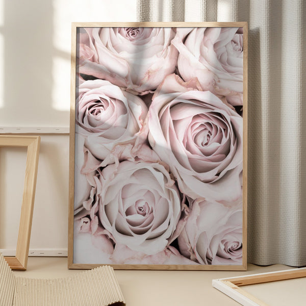 Tablou înramat „Pink Roses No 01” de Pictufy Studio III