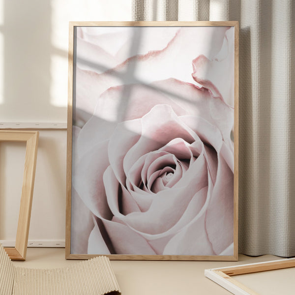 Tablou înramat „Pink Rose No 05” de Pictufy Studio III