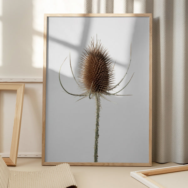 Tablou înramat „Dried_004” de Pictufy Studio III