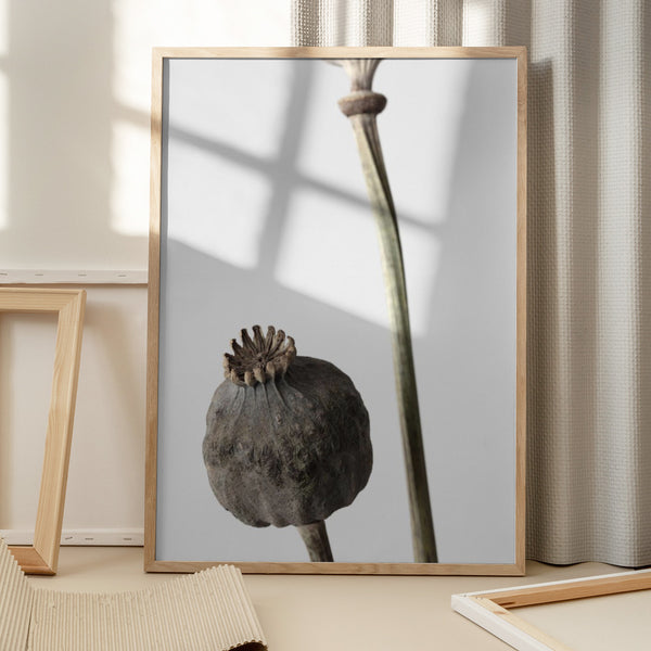 Tablou înramat „Dried_005” de Pictufy Studio III