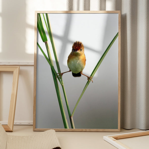 Tablou înramat „Kung Fu Master” de Lina Gunawan