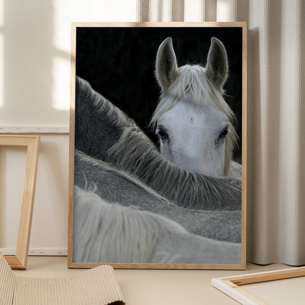 Tablou înramat „Look” de Milan Malovrh