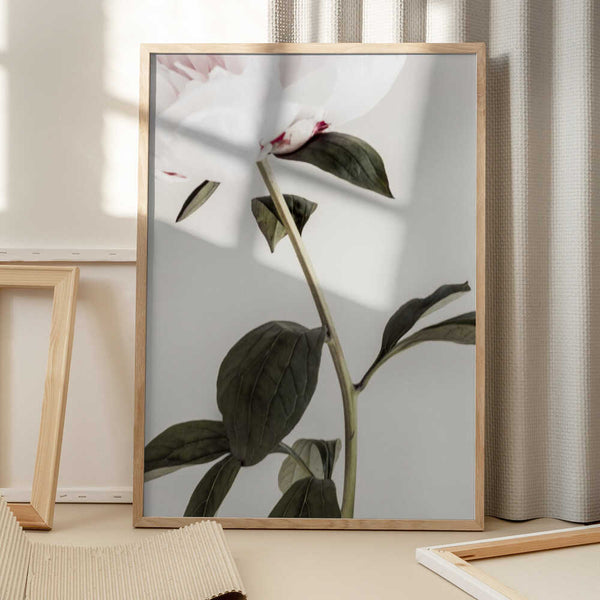 Tablou înramat „Peony 09” de Pictufy Studio III