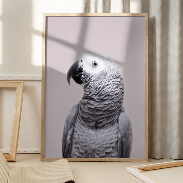 Tablou înramat „African Grey” de Kathrin Pienaar