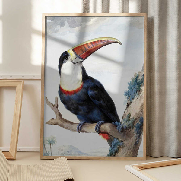 Tablou înramat „Red Billed Toucan” de Aert Schouman