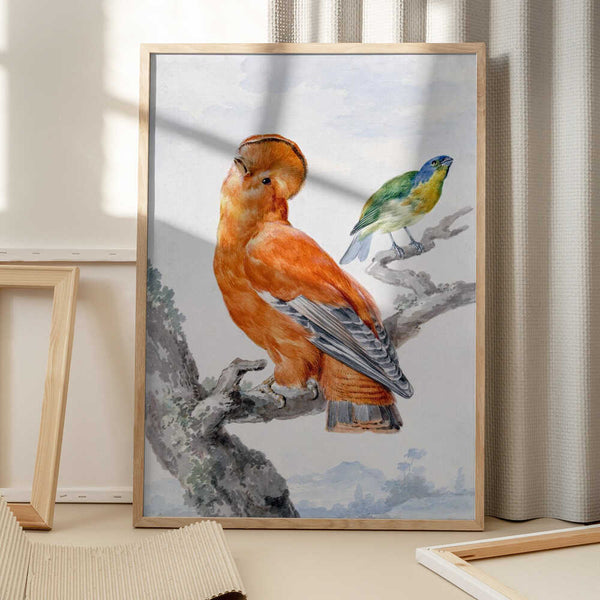 Tablou înramat „Two Exotic Birds” de Aert Schouman