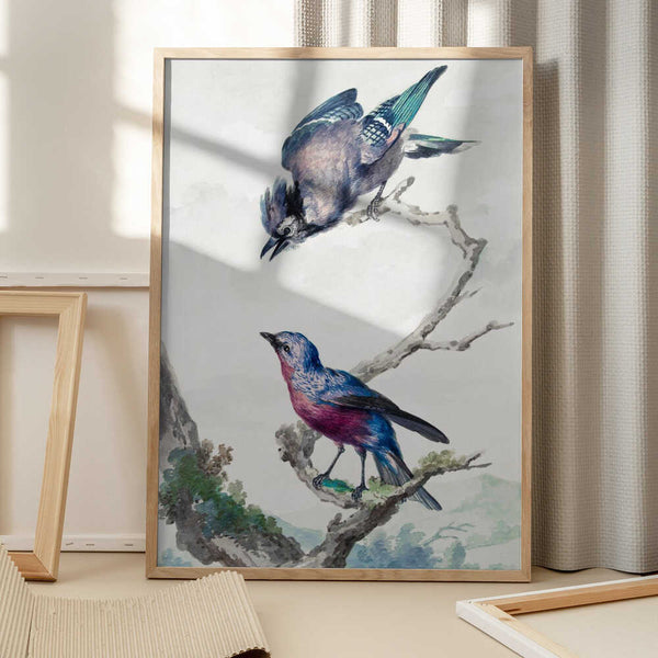 Tablou înramat „Two Birds a Blue Jay and a Purple Breasted Cotinga” de Aert Schouman