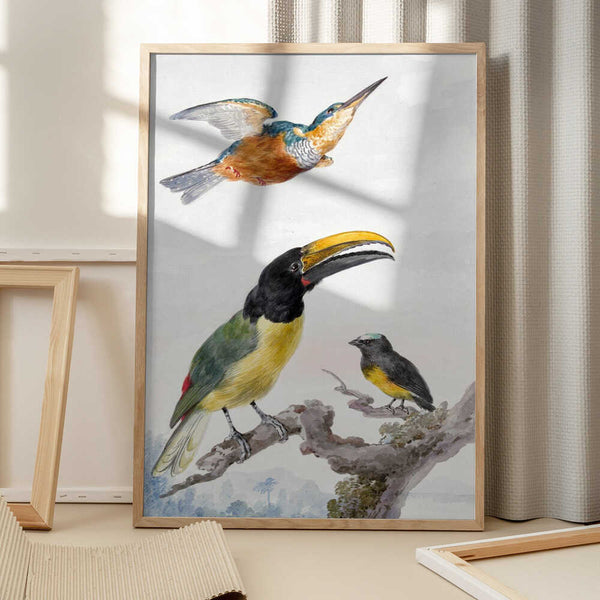 Tablou înramat „Three Birds a Kingfisher, a Prince Von Wied's Toucan and an Sparrow” de Aert Schouman