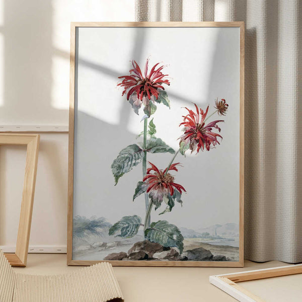 Tablou înramat „A Red Bergamot In a Landscape” de Aert Schouman