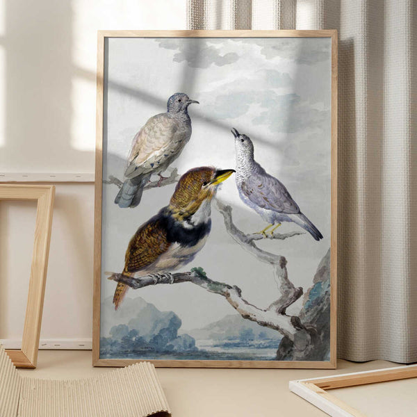 Tablou înramat „Three Birds, Two Inca Pigeons and a Collared Bearded Cuckoo” de Aert Schouman