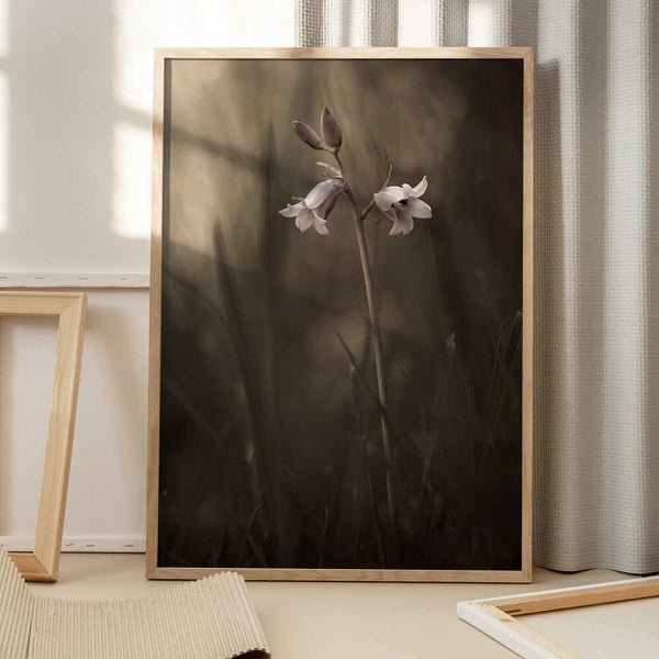 Tablou înramat „A small flower on the ground” de Allan Wallberg