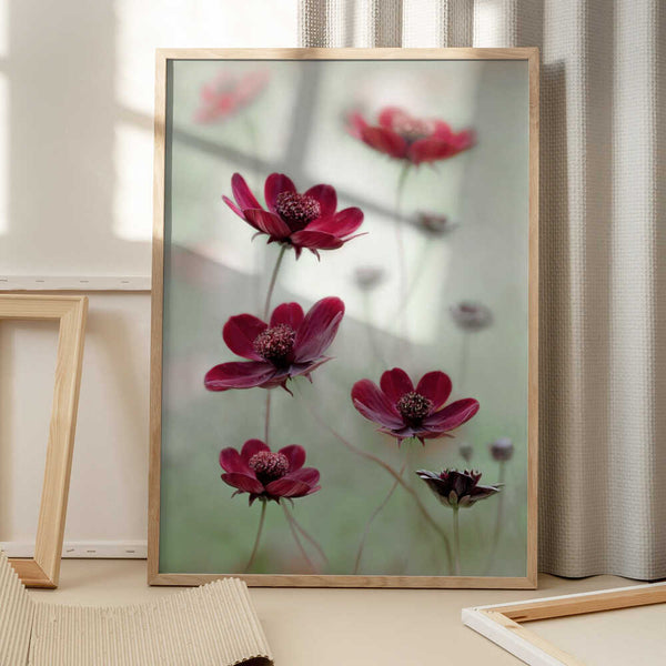 Tablou înramat „Cosmos sway” de Mandy Disher