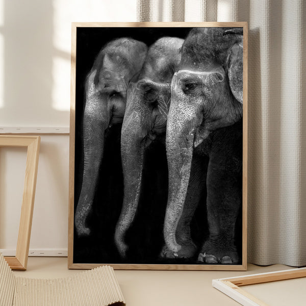 Tablou înramat „Nature\'s great masterpiece, an elephant; the only harmless great thing ...” de Yvette Depaepe