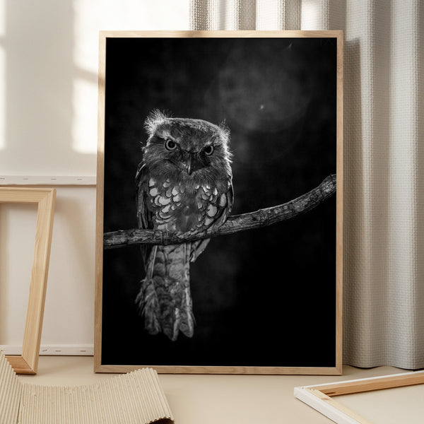 Tablou înramat „Alone in the night” de wilianto