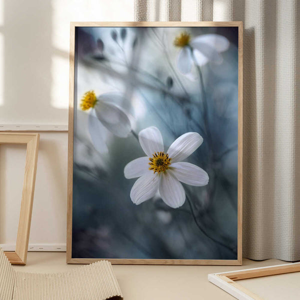 Tablou înramat „Cosmos” de Mandy Disher