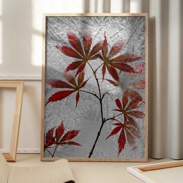 Tablou înramat „red maple” de Secundino Losada
