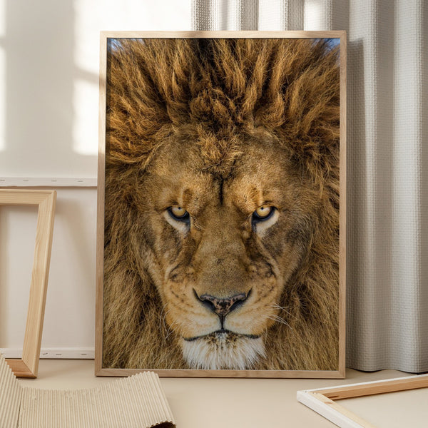 Tablou înramat „Serious Lion” de Mike Centioli