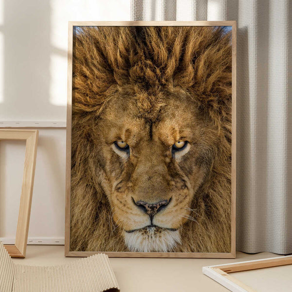 Tablou înramat „Serious Lion” de Mike Centioli