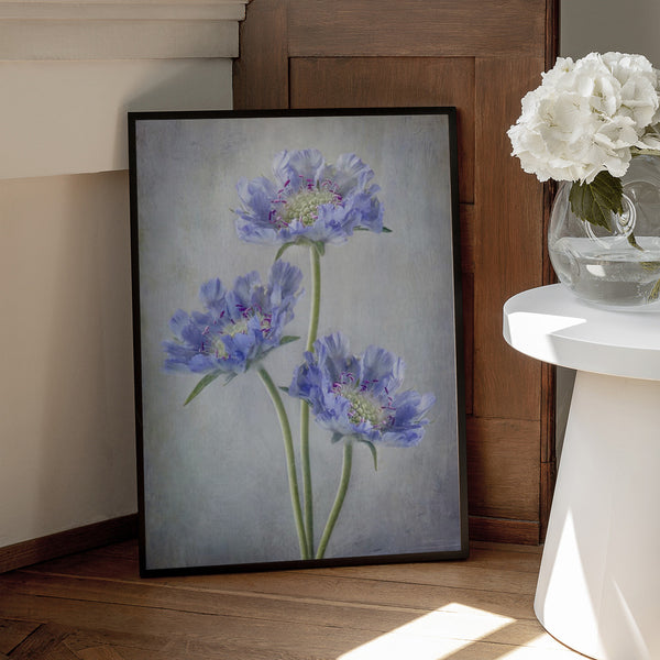 Tablou înramat „Scabiosa” de Mandy Disher