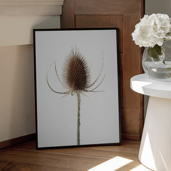 Tablou înramat „Dried_004” de Pictufy Studio III