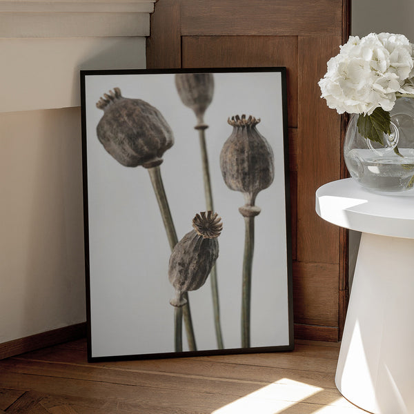 Tablou înramat „Dried_006” de Pictufy Studio III